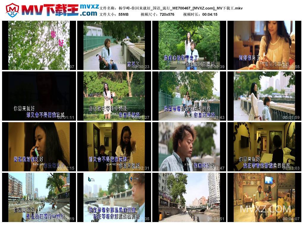 杨学峰-你回来就好_国语_流行_ME700467